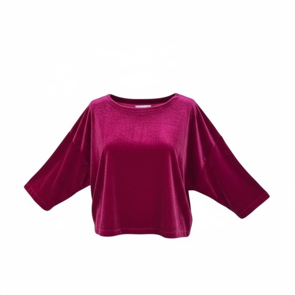 Cupcake and cashmere  velvet top - Picture 1 of 4